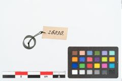 Foto von Bronzespiralröhrchen (NHMW-PRAE-026030)